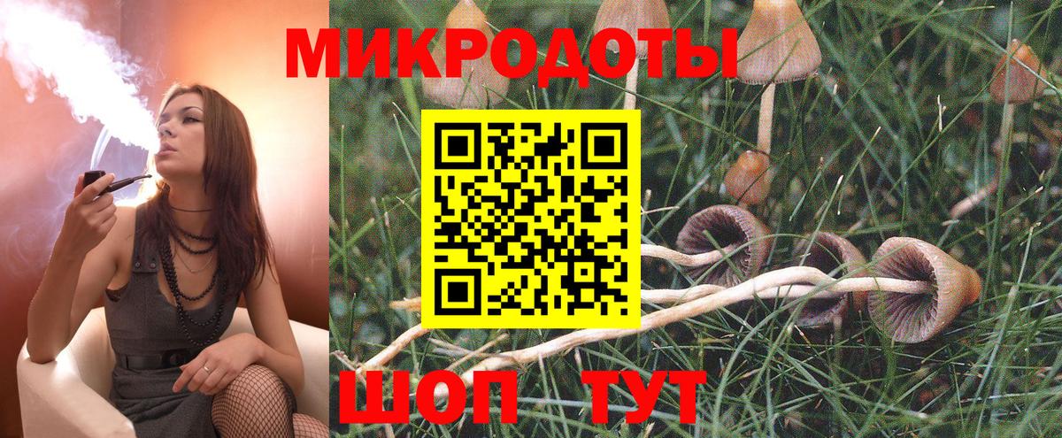 Псилоцибиновые грибы Psilocybe  Вход с VPN  Псилоцибиновые грибы Psilocybine cubensis  Чебаркуль 