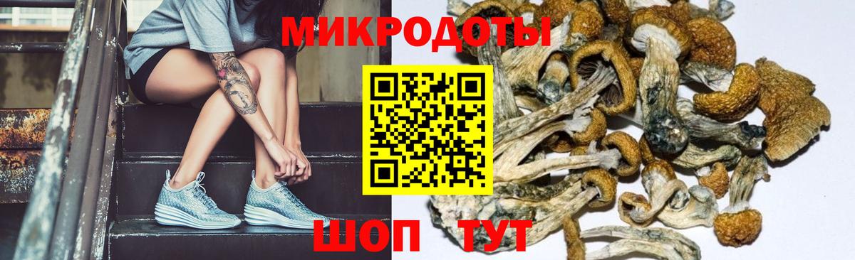 Псилоцибиновые грибы GOLDEN TEACHER Чебаркуль